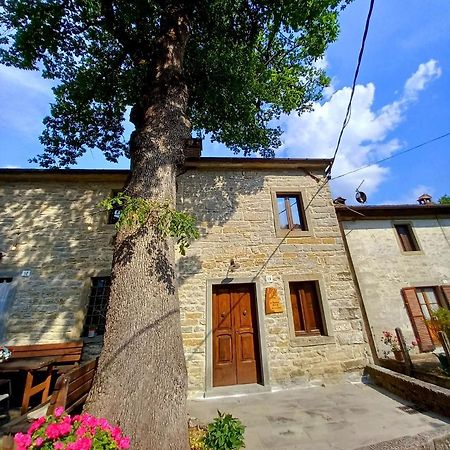 Casina La Quercia Daire Santa Sofia Dış mekan fotoğraf