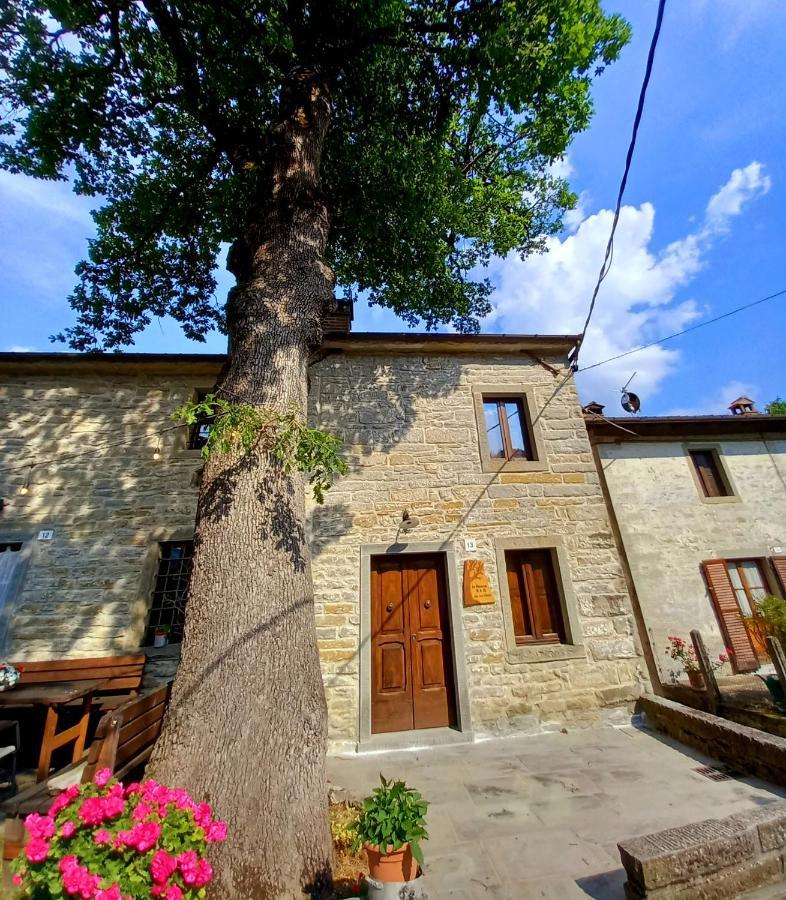 Casina La Quercia Daire Santa Sofia Dış mekan fotoğraf