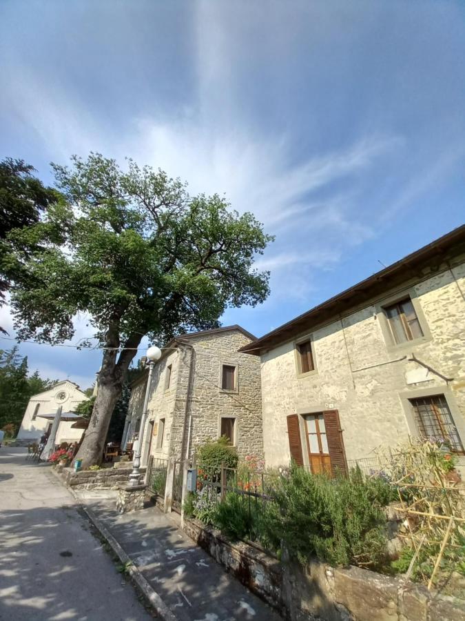 Casina La Quercia Daire Santa Sofia Dış mekan fotoğraf
