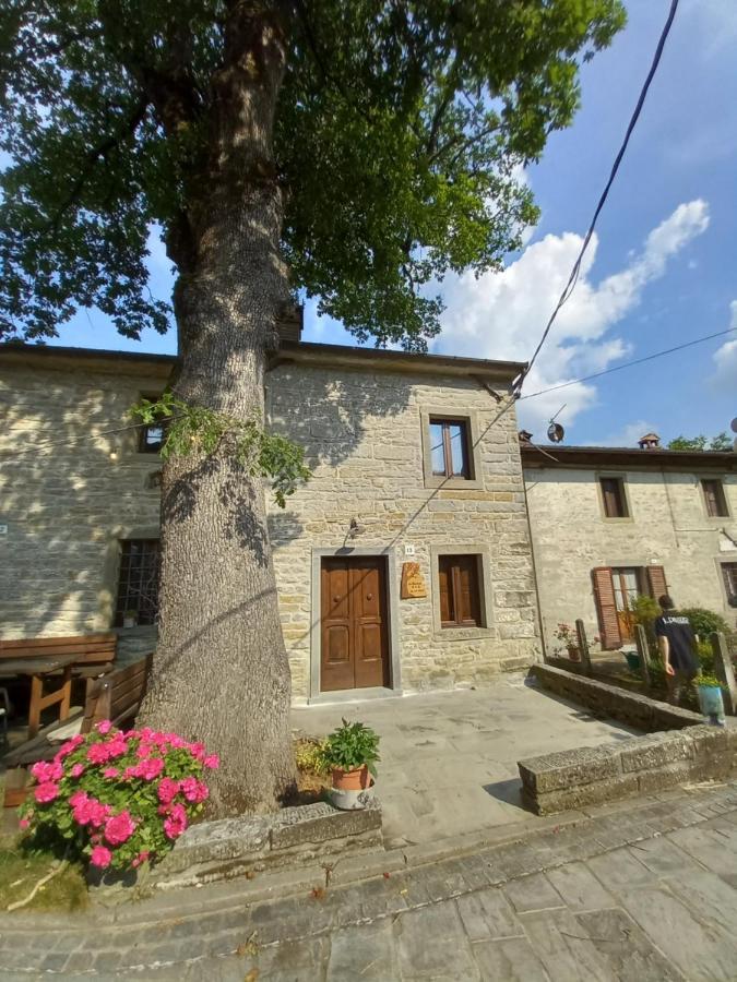 Casina La Quercia Daire Santa Sofia Dış mekan fotoğraf
