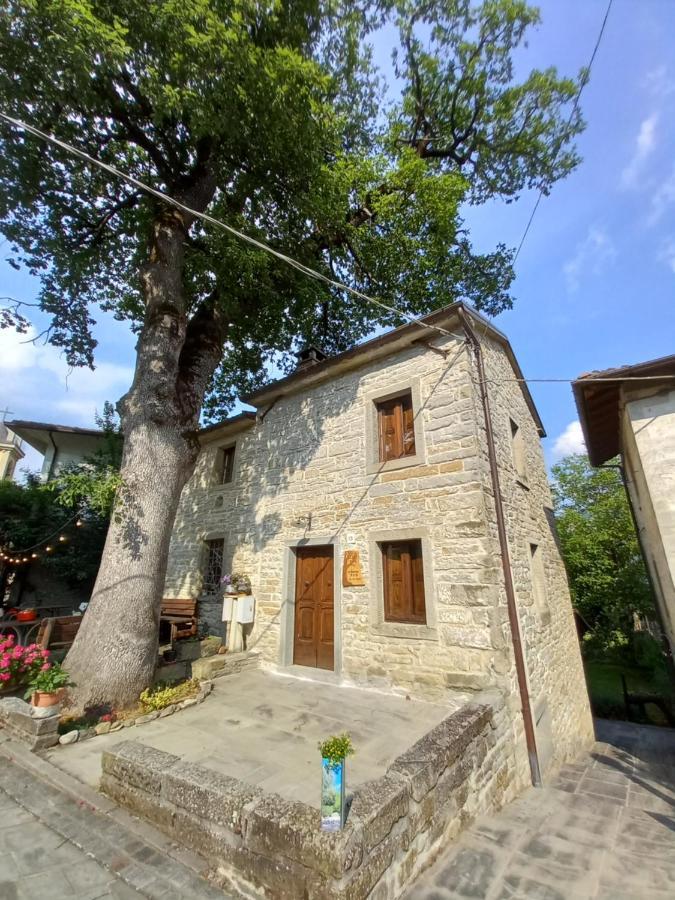 Casina La Quercia Daire Santa Sofia Dış mekan fotoğraf