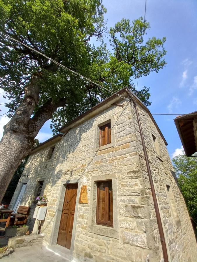 Casina La Quercia Daire Santa Sofia Dış mekan fotoğraf
